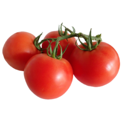 Tomaten