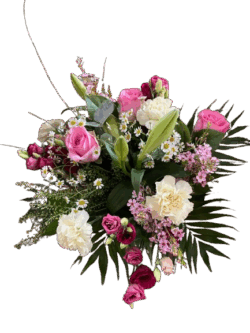 Rosa Eleganz